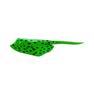 Spotted Green Stingray